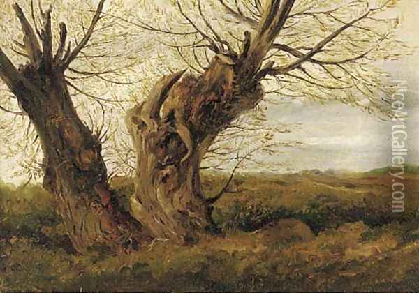 A study of a willow Oil Painting - English School