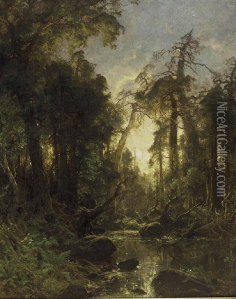 Sonnendurchflutetes Waldinneres Oil Painting - Carl August Heinrich Ferdinand Oesterley