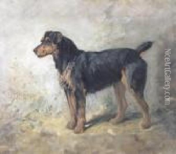 A Terrier Oil Painting - John Emms
