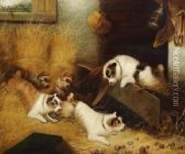Five Dogs Playing In A Stable Oil Painting - George Armfield