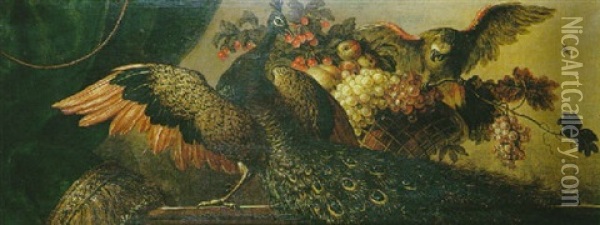 Paon Et Perroquet Autour D'une Corbeille De Fruits Oil Painting - Pierre Nicolas Huilliot