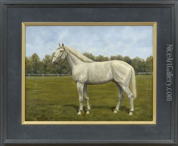 Portrait Of A White Horse Oil Painting - Wouter Verschuur the Younger