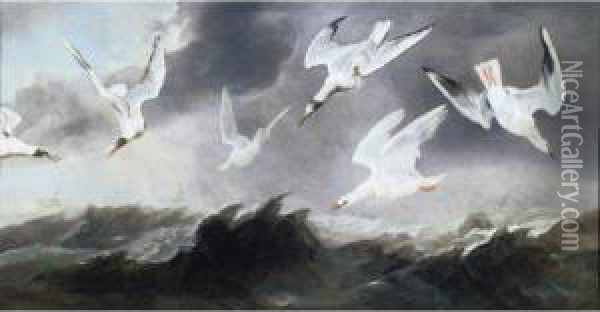 A Flock Of Terns And Gulls Above Stormy Seas Oil Painting - Paul de Vos