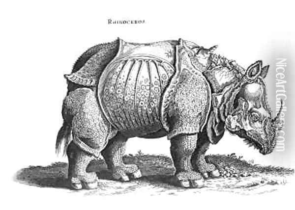 Rhinoceros no76 from Historia Animalium Oil Painting - Durer or Duerer, Albrecht