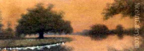 Sunset On The Louisiana Bayou Oil Painting - Alexander John Drysdale