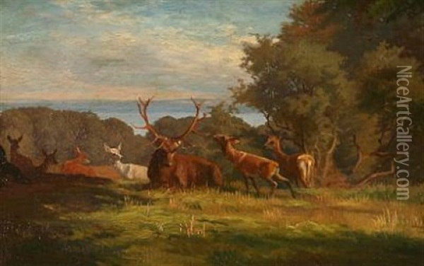 Summer Day With Stags In A Forest Oil Painting - Adolf Heinrich Mackeprang