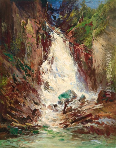 Wasserfall Im Hochgebirge Oil Painting - Emil Jacob Schindler