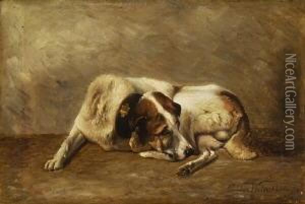 Liegender Hund. Oil Painting - Eugene Joseph Verboeckhoven