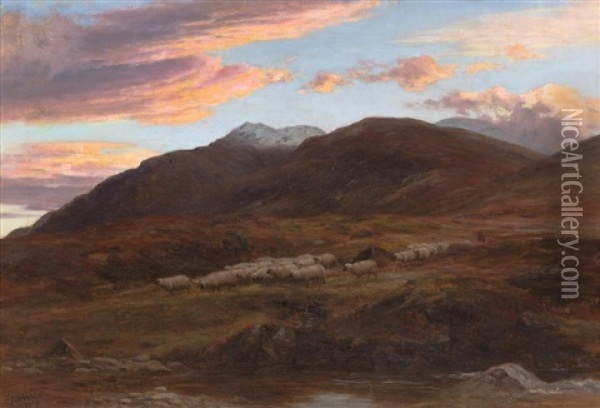 Highland Sheep In Landscape 1879 Oil Painting - Charles Edward Johnson