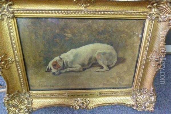 Crouching Terrier Oil Painting - Arthur Batt