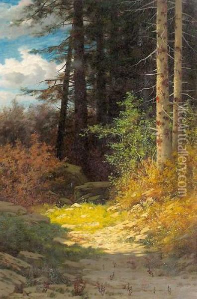 Sonniger Waldweg. Oil Painting - Eduard Rudisuhli