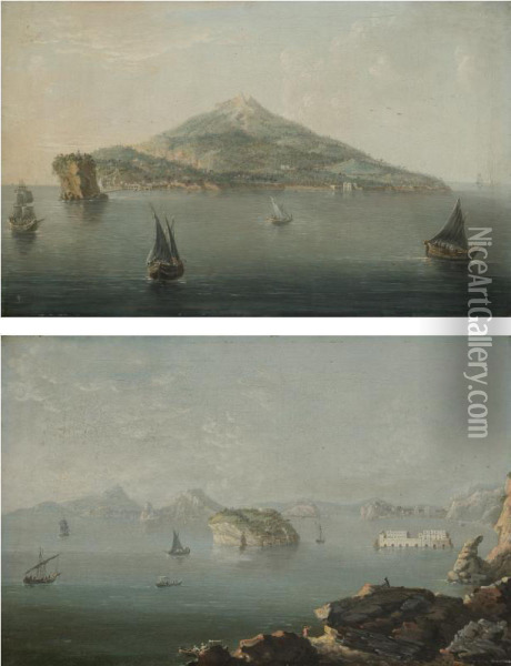 A View Of The Island Of Ischia Oil Painting - Pietro Antoniani