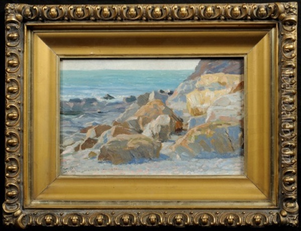 The Coast At Livorno Oil Painting - Jaroslav Spillar