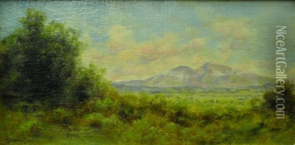 Mt. Diablo, Near Brentwood Oil Painting - Charles Dorman Robinson