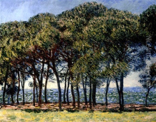 Pins, Cap D'antibes Oil Painting - Claude Monet