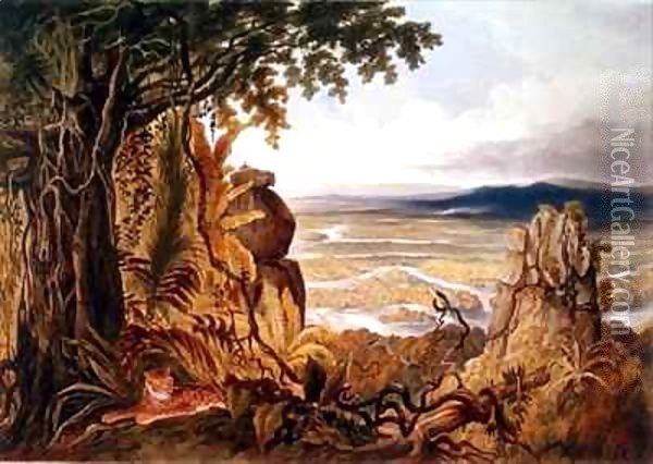 The Comuti or Taquiare Rock, on the River Essequibo Oil Painting - Charles Bentley