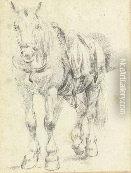 A Saddled Horse Oil Painting - Pieter van Bloemen