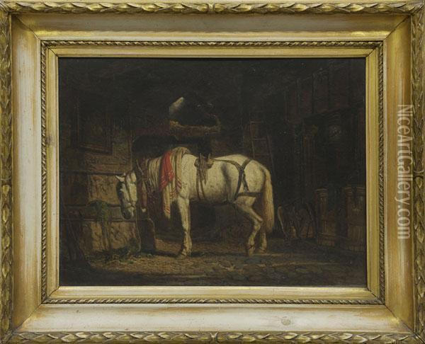 Study Of A Stable Interior With Grey Horse In Harness Oil Painting - Willem Jacobus Boogaard