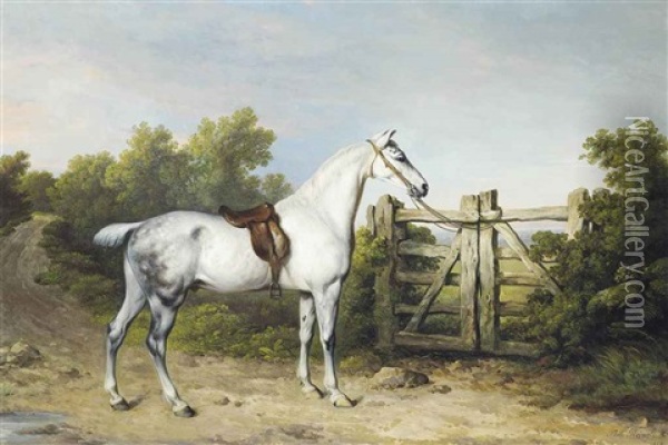 Sir Charles Mordaunt's Grey Hunter Piccolo Tethered To A Gate Oil Painting - Philipp Reinagle