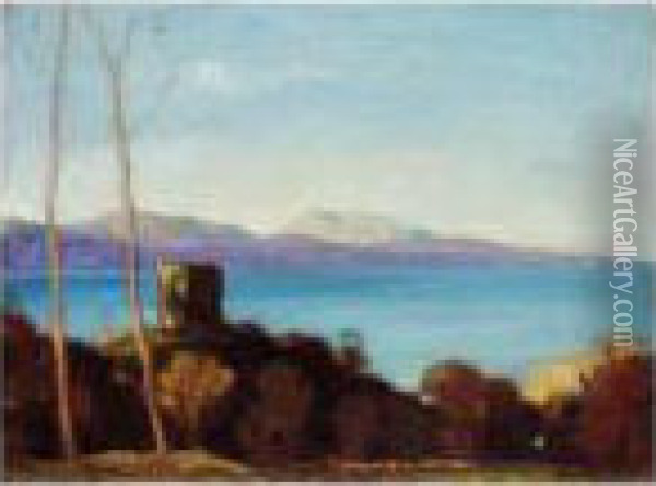 The Hills Of Mull From Dunollie Castle Oil Painting - David Young Cameron
