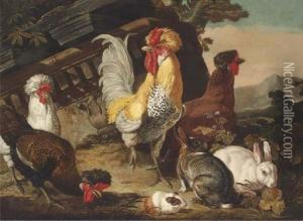 Chickens, Rabbits And A Guinea-pig By Classical Ruins Oil Painting - David de Coninck