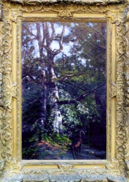 Chevreuil En Foret De Fontainebleau Oil Painting - Alexandre Defaux