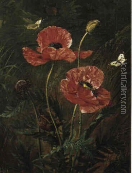 Vallmoblomster Oil Painting - Olaf August Hermansen