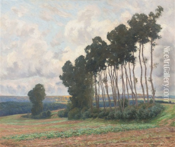 Apres L'orage, Brabant - After The Storm, Province Of Brabant (1900) Oil Painting - Rodolphe Paul Wytsman