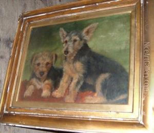 Study Of Twoterriers Oil Painting - John Fitz Marshall