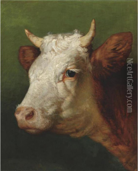 Head Of A Bull Oil Painting - Rosa Bonheur