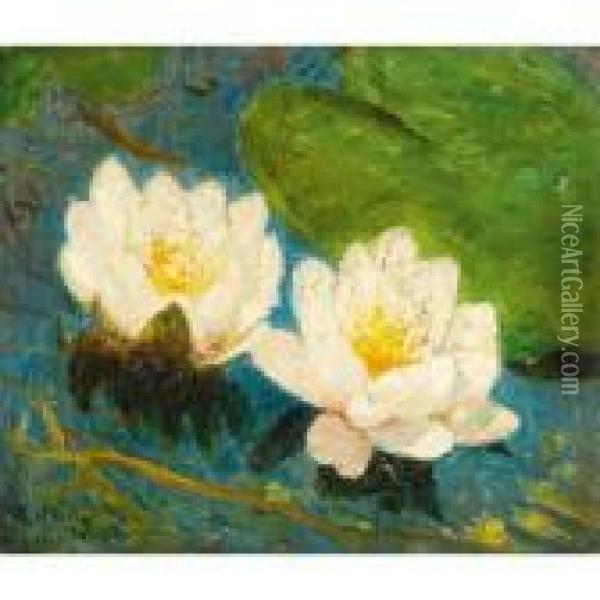 Water Lily Oil Painting - Emile Claus