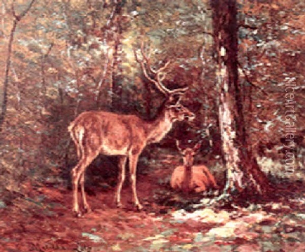 Deer In The Woods Oil Painting - Matilda Lotz