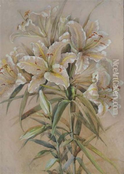 White Lilies Oil Painting - Marie Hensley
