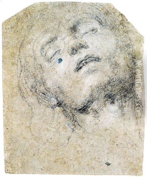 Head of a Man Oil Painting - Giovanni Girolamo Savoldo