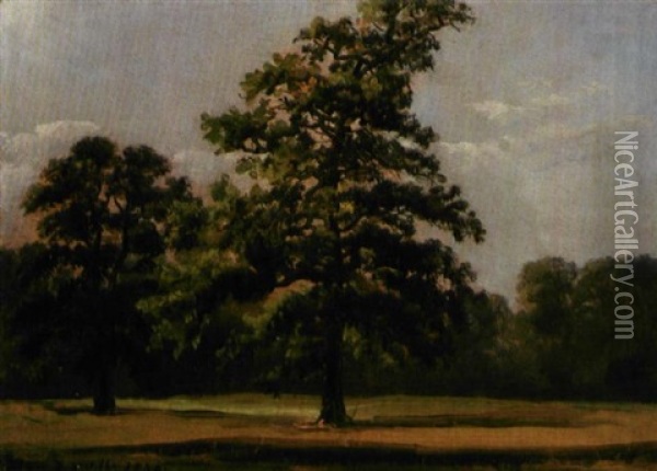 Fra Parken I Worlitz Oil Painting - Johan Christian Dahl