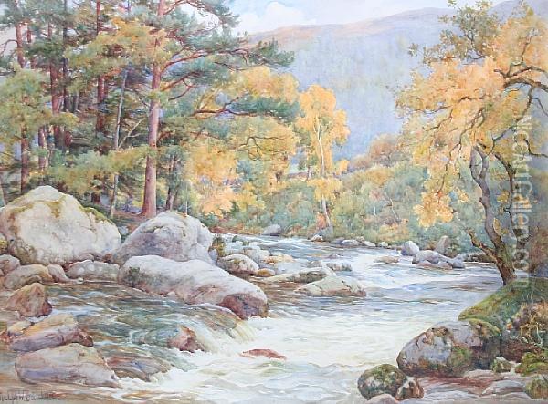 'the River Llugwy, Near The Miners' Bridge,north Wales' Oil Painting - Ralph William Bardill