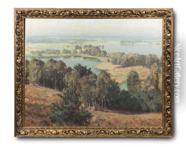 Seenlandschaft Mit Birkenhain Oil Painting - Hans Busse