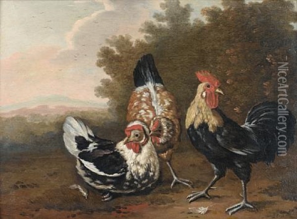 Ornamental Fowl In A Wooded Landscape Oil Painting - Pieter Casteels III