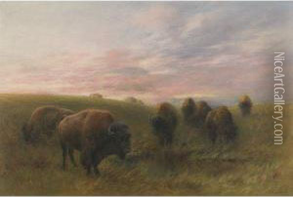 Buffalo Watering Hole Oil Painting - Frederick Arthur Verner