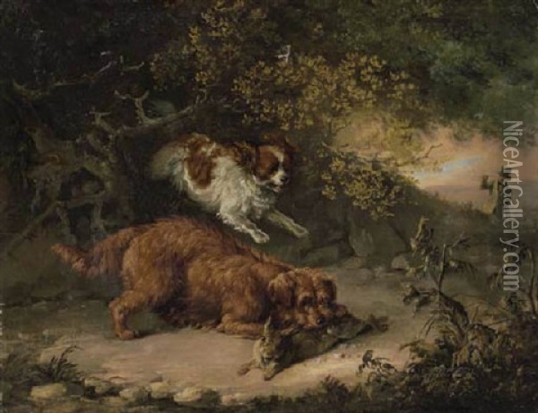 Dogs Rabbiting In A Woodland Clearing, A Sportsman Beyond Oil Painting - Edmund Bristow