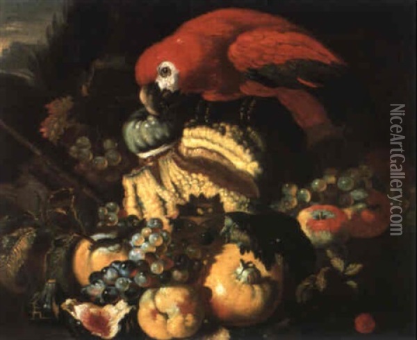 Frutta In Un Giardino E Un Pappagallo Oil Painting - Giovanni Paolo Castelli (lo Spadino)
