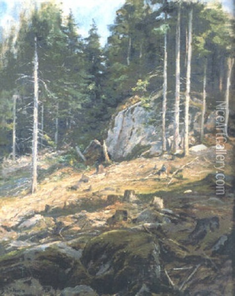Skogssluttning Oil Painting - Berndt Adolf Lindholm