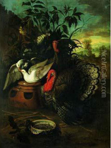 Scene De Basse-cour Avec Dindons Et Pigeons Oil Painting - Jean-Baptiste Oudry
