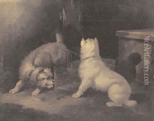 Terriers by a rat trap Oil Painting - Paul Jones