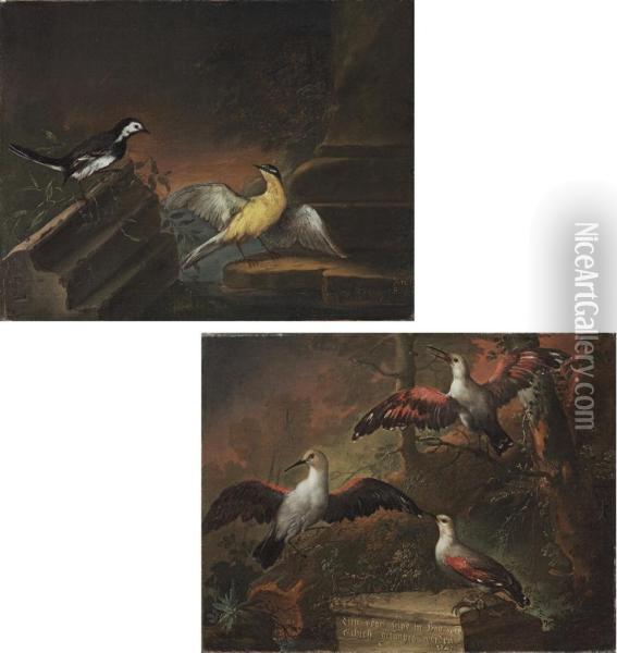 A Blue-jay And A Goldfinch By Classical Ruins On A Forest Floor; And Three Woodpeckers By Classical Ruins On A Forest Floor Oil Painting - Heinrich Lihl