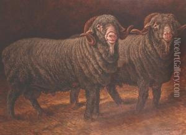 Prize Merino Rams Oil Painting - Charles Ferdinand Ceramano