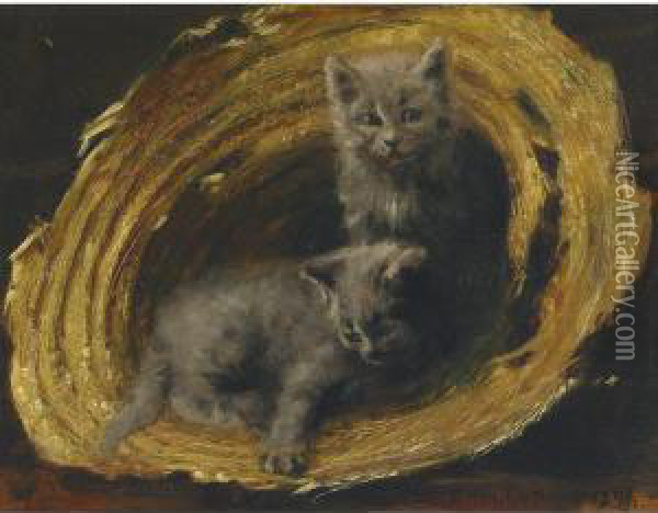 The Kittens Oil Painting - Owen B. Staples