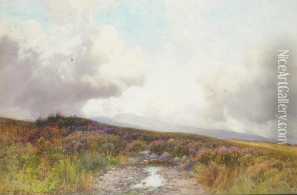 Bunkery Beacon, Exmoor Oil Painting - Frederick John Widgery