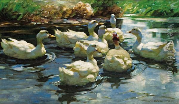 Sieben Enten Auf Dem Teich Oil Painting - Alexander Max Koester