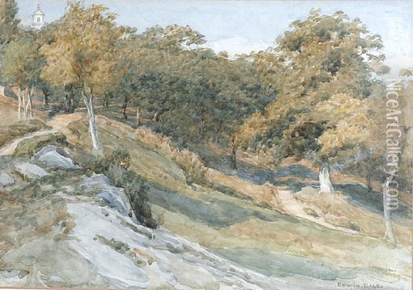 Landscape With Trees Oil Painting - Edwin Bale